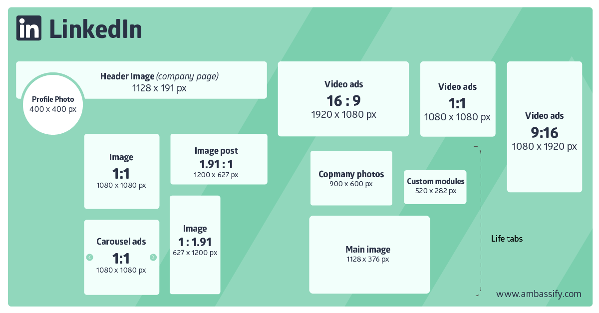 Social Media Size Guide 2024 LinkedIn
